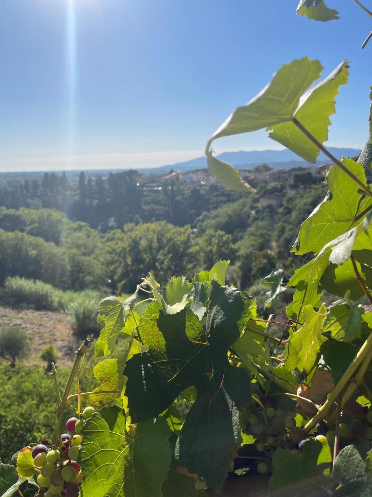 Quattro Gigli Palace Hotel 3*